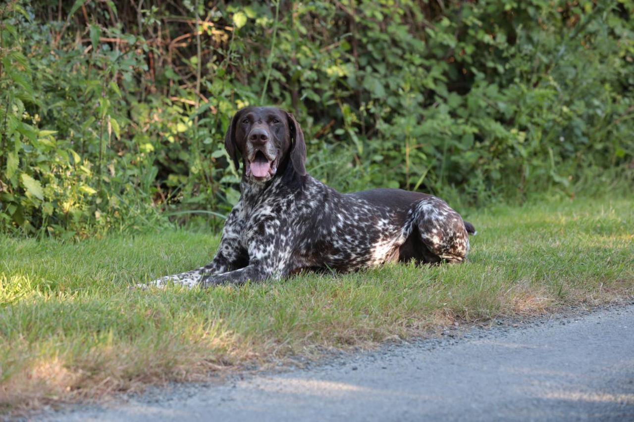 Relais De Chasse La Chaignaie Saint-Hilaire-de-Loulay エクステリア 写真